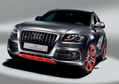 2009��µ�Q5 Custom Concept