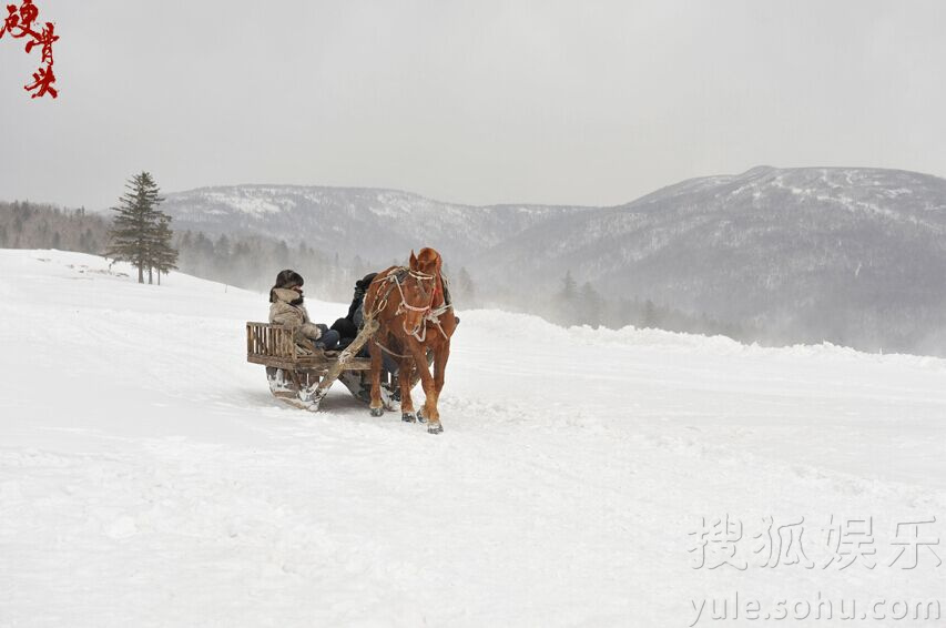 Img7795511_f.jpg