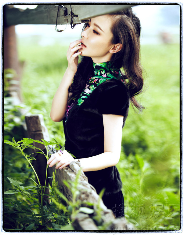 Img3103523_f.jpg