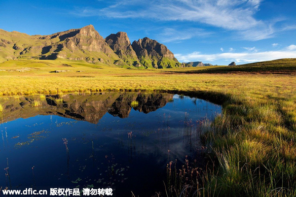 Img7708727_f.jpg
