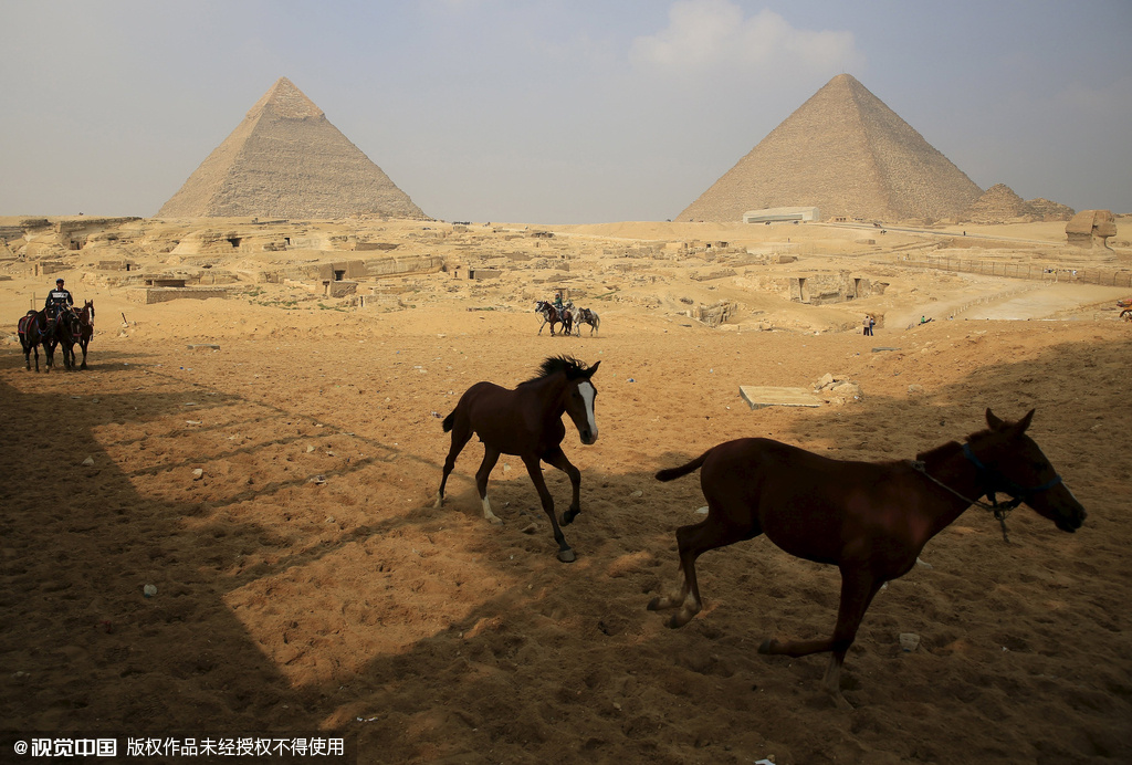 旅游业发展规划_旅游业的收入(3)