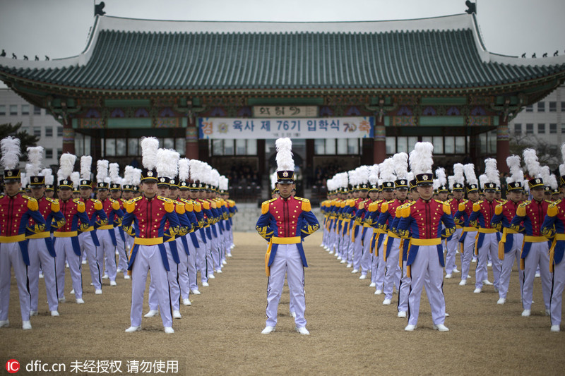 Img8300647_f.jpg