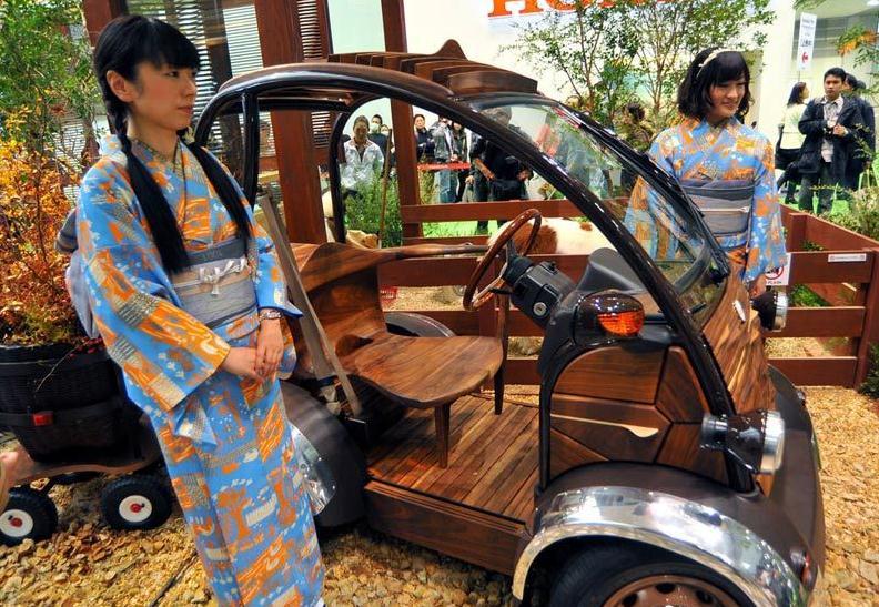 收入证明_各国车模收入(2)