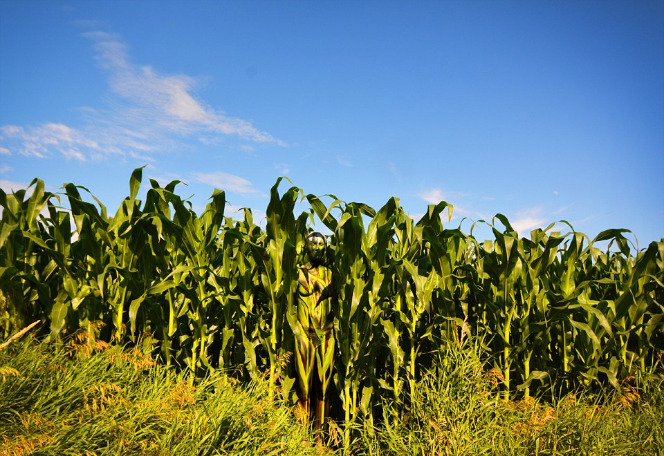 Img7978259_f.jpg