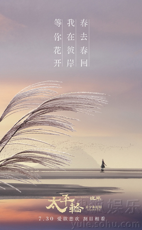 Img7874767_f.jpg