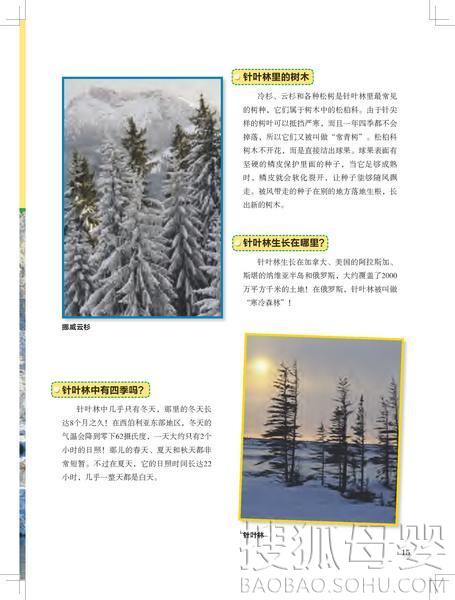 万花筒简谱_童年的万花筒简谱(2)