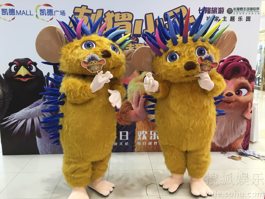 刺猬小子 巡游百城千场 大猬萌力MAX狂吸晴