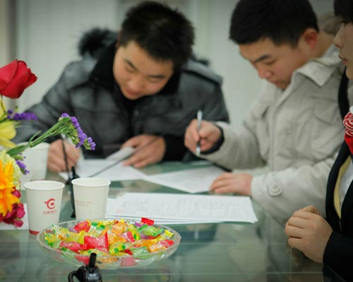 经济收入证明模板_借款人经济收入证明(2)