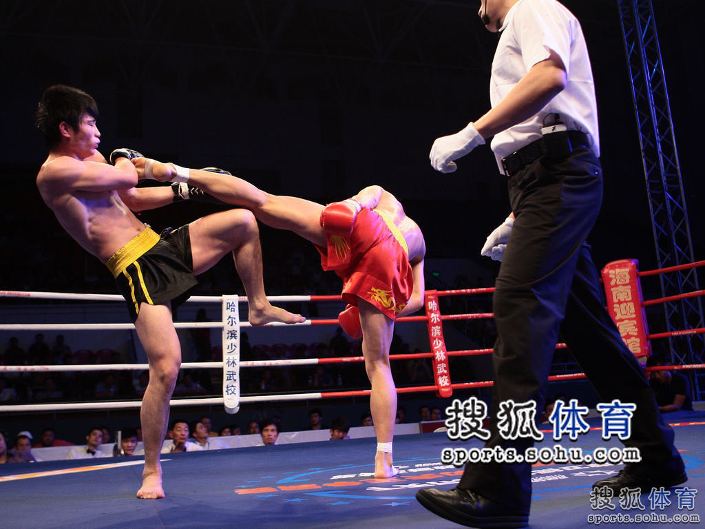Img3039387_f.jpg