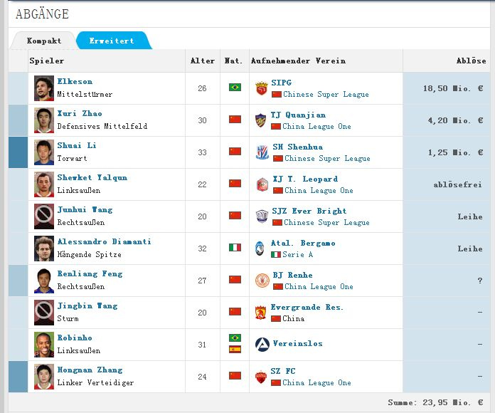 广州恒大_恒大年收入(3)