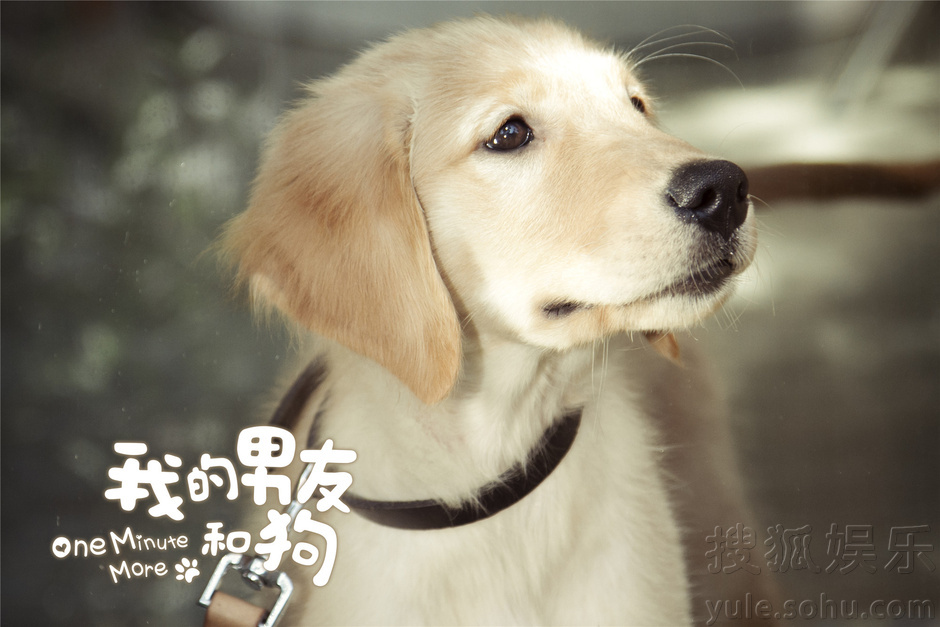 《男友和狗》曝主题曲mv 徐佳莹演绎人宠情深