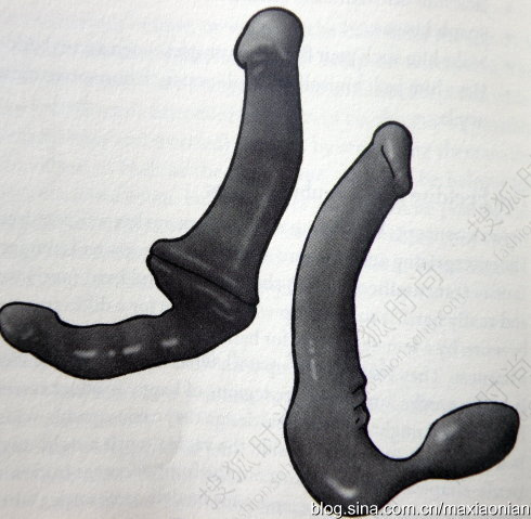 36件<em>男女</em>性工具及性<em>惩罚</em>工具5935211-搜狐时