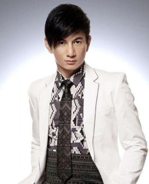 收入证明_韩国一线明星的收入(2)