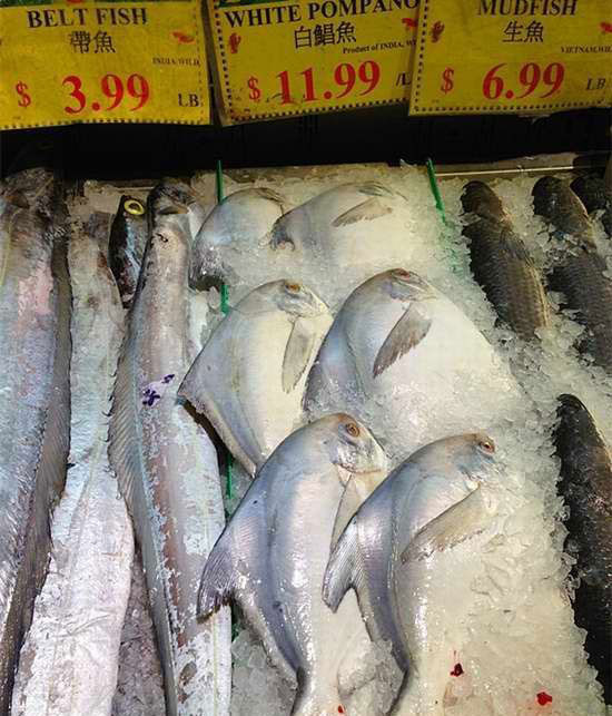 实拍美国超市海鲜价格 三文鱼新鲜又便宜6917