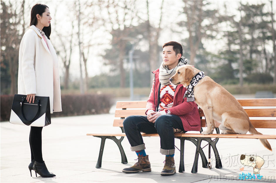 神犬小七好看吗?郭碧婷 - 中投顾问|中国投资咨