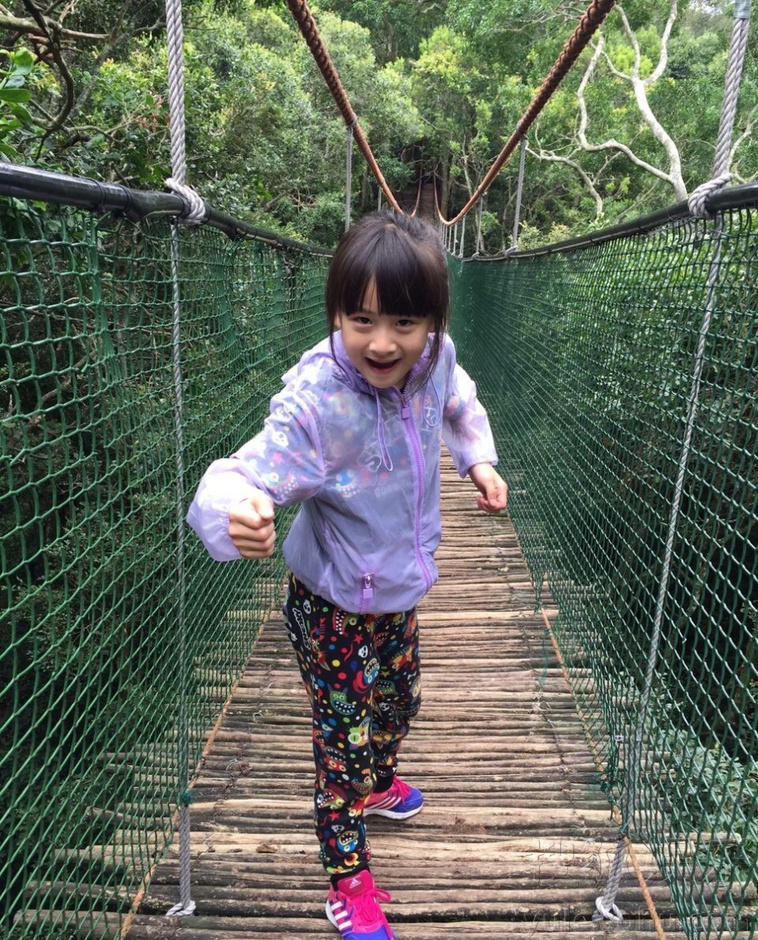 田亮一家四口森林探险 儿子比森蝶胆大