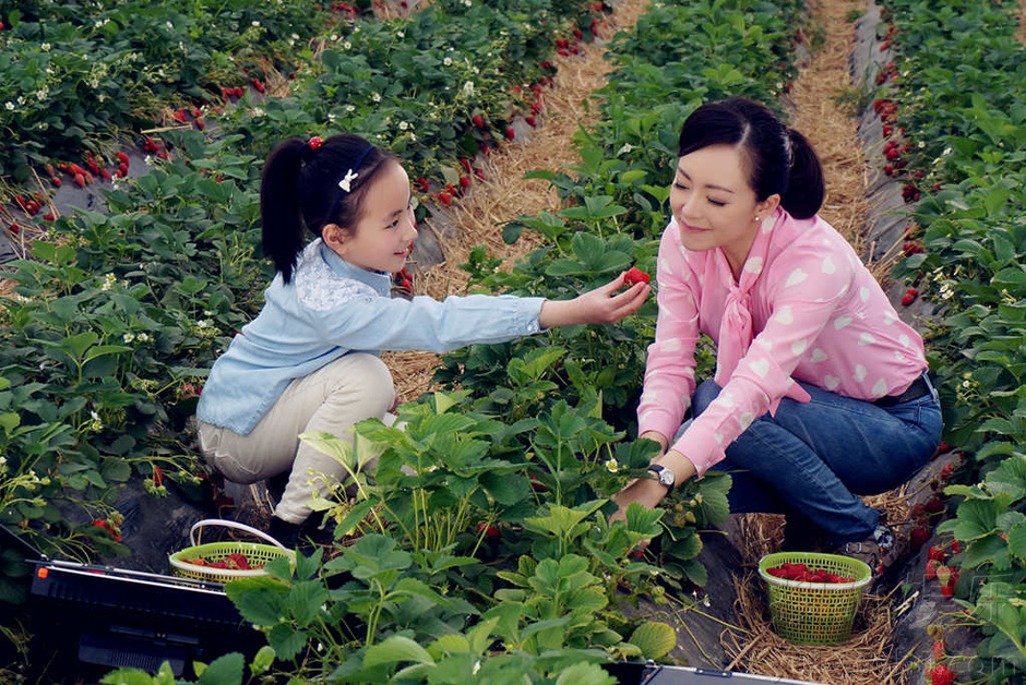 许榕真代言崇明岛 清新甜美气质佳 _综合_突袭网