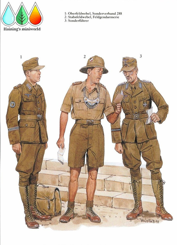 二战德军非洲军团军服图册7688427-军事频道图片库-大视野-搜狐