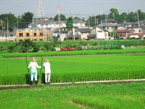 日本农村的富裕生活