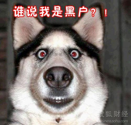 遭遇始乱终弃的昂贵狗证有啥用?