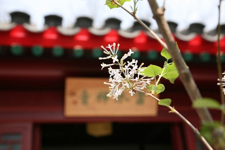 <em>北京女王</em>会所曝光 探巷子里的<em>高端</em>私密会所60