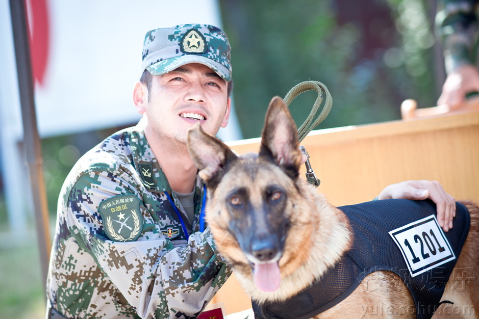 《神犬奇兵》曝精彩剧照 犬王争霸赛剑拔弩张