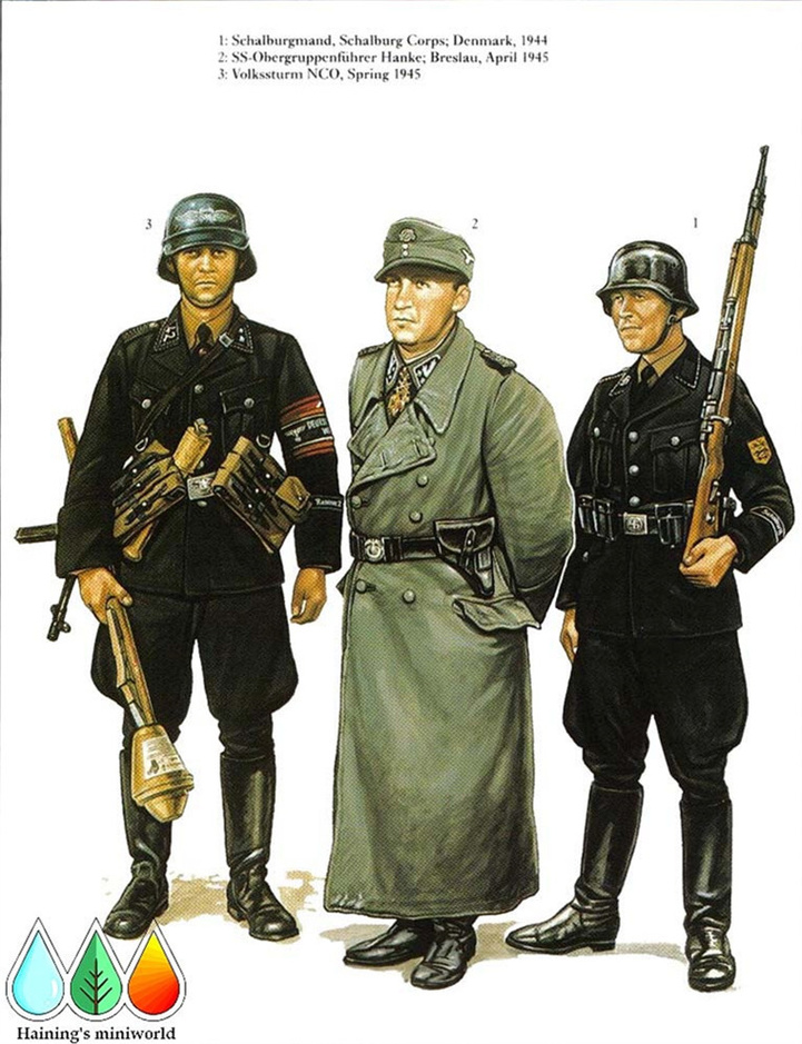 二战德国普通党卫队图册7688551-军事频道图