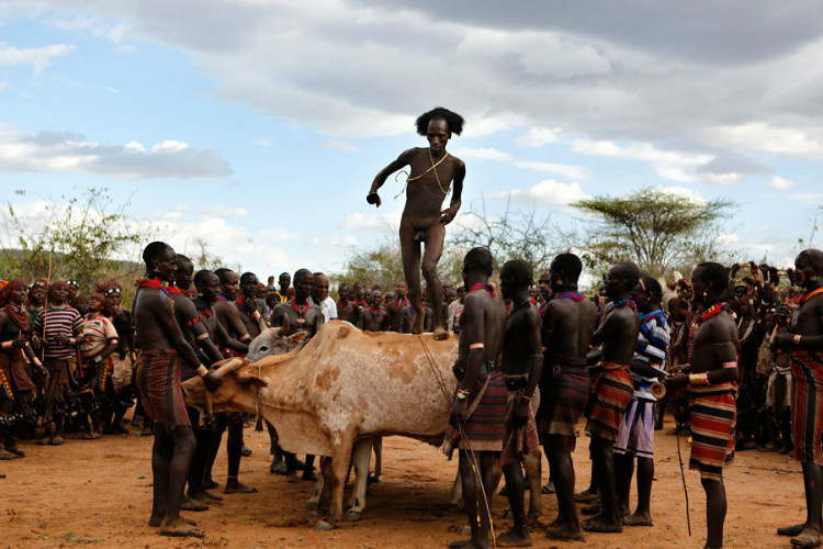 埃塞俄比亚 哈默部落的成人礼—跳牛