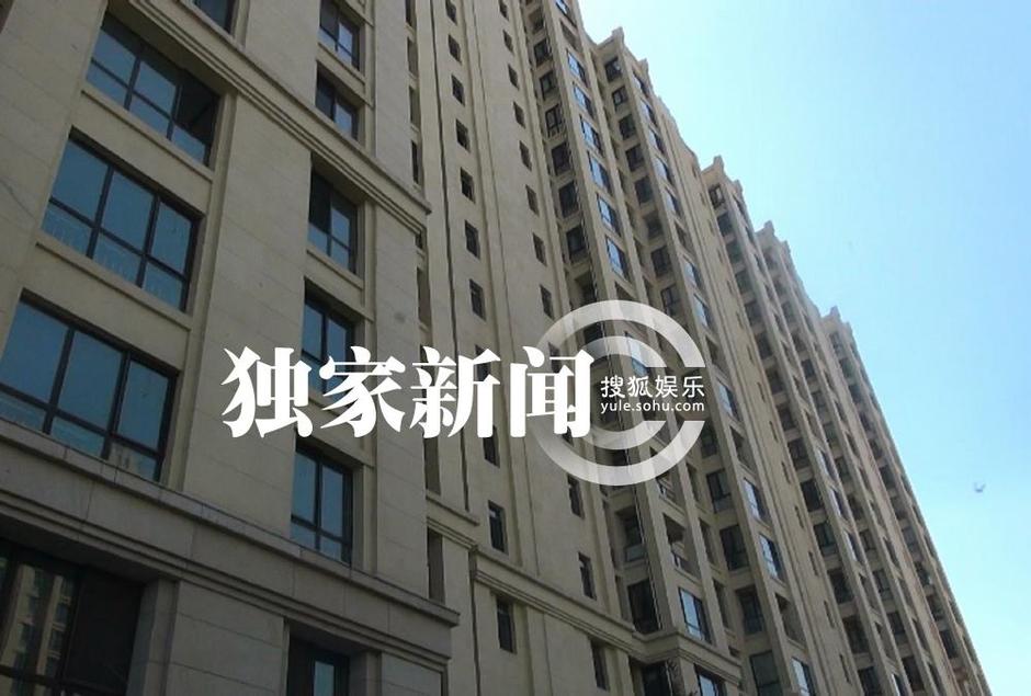 何洁男友图片