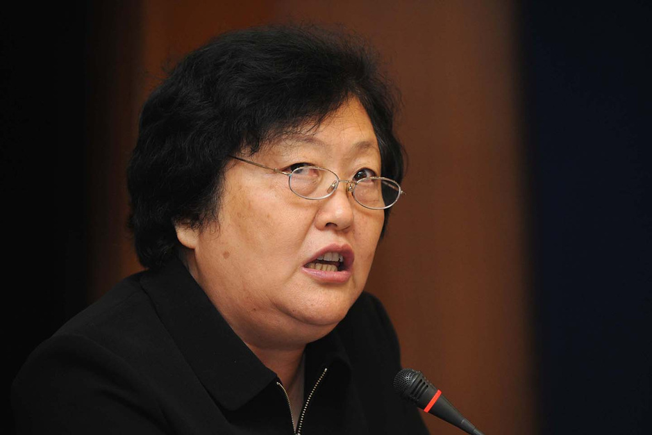 中国红会党组书记赵白鸽被免7087267-新闻图