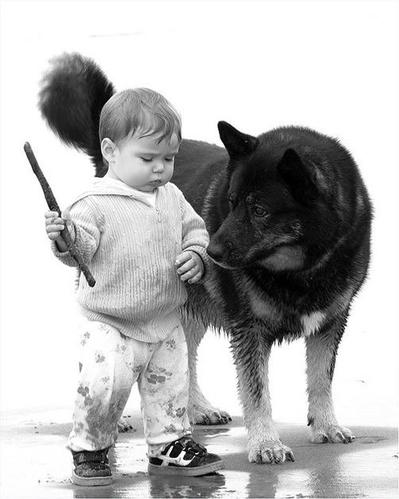 女子与狗过于亲密接触|女子与狗过于亲密接触