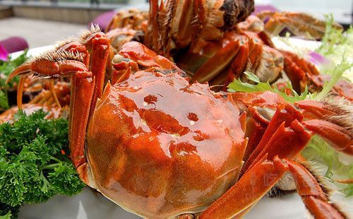 什么时候开始吃大闸蟹 Img5406771_n.jpg