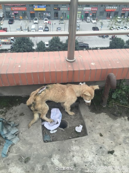 文章配图