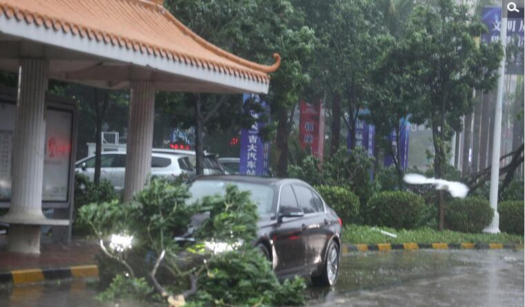 强台风天鸽登陆华南9124483-新闻图片库