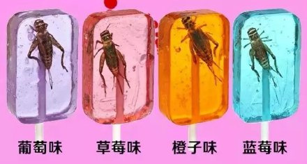 蚂蚁是怎么找到糖 Img7709887_n.jpg