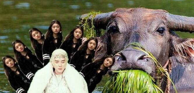 求心理阴影!冯绍峰发剧照求PS 网友脑洞打开8