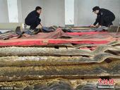 3月20日，海口海关破获一个假借支持生产民族乐器，通过获取大量“中国野生动物经营利用管理专用标识”为...