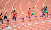 北京时间8月7日，2012伦敦奥运会田径比赛在“伦敦碗”奥林匹克体育场结束男子110米栏预赛。中国飞...