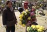 安徽蚌埠：菊花展上万盆菊花遭市民哄抢
