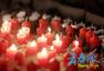 ���ഺ�ɡ��������ؼ� ��������������Ϯ