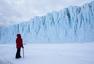 在南极生活15年是怎样的体验？