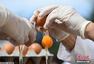 比利时小镇用6500个鸡蛋制作直径4米煎蛋饼