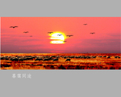 ĺ��ͬ;