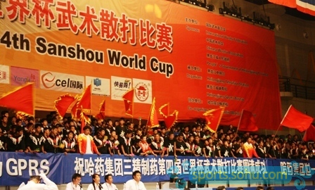 Img836143_t.jpg