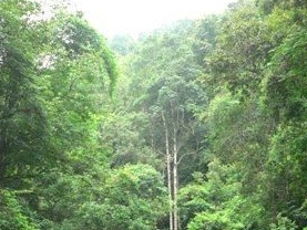贺州旅游景点大全_贺州旅游景点介绍_贺州景