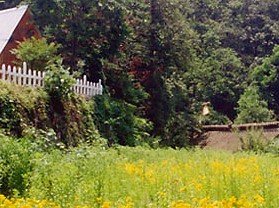 鸡公山风景区