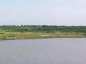 尼尔基水库